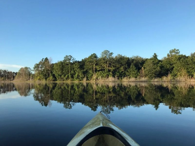 A canoe is in the water near some trees.